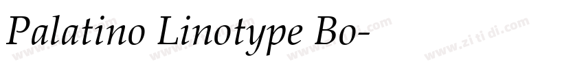 Palatino Linotype Bo字体转换